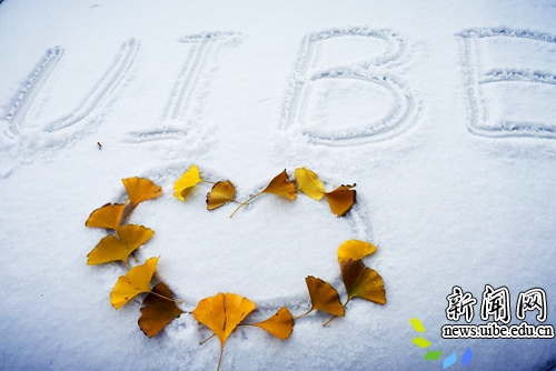 今日，惠园初雪